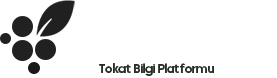 TokatNet